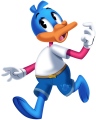 A duck looking around.