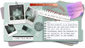 A case file on The Mint Auditor.